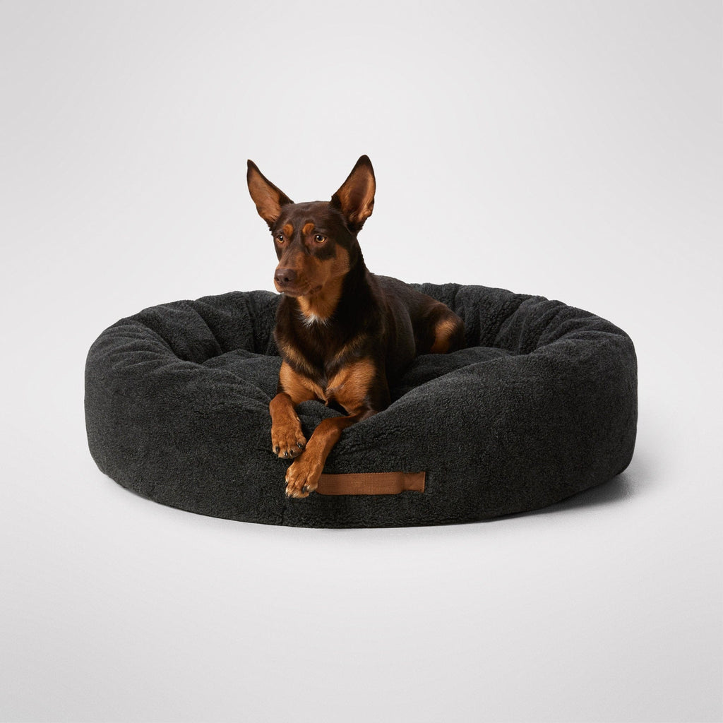 MiniJumbuk – Sleep Calm Oasis Dog Bed