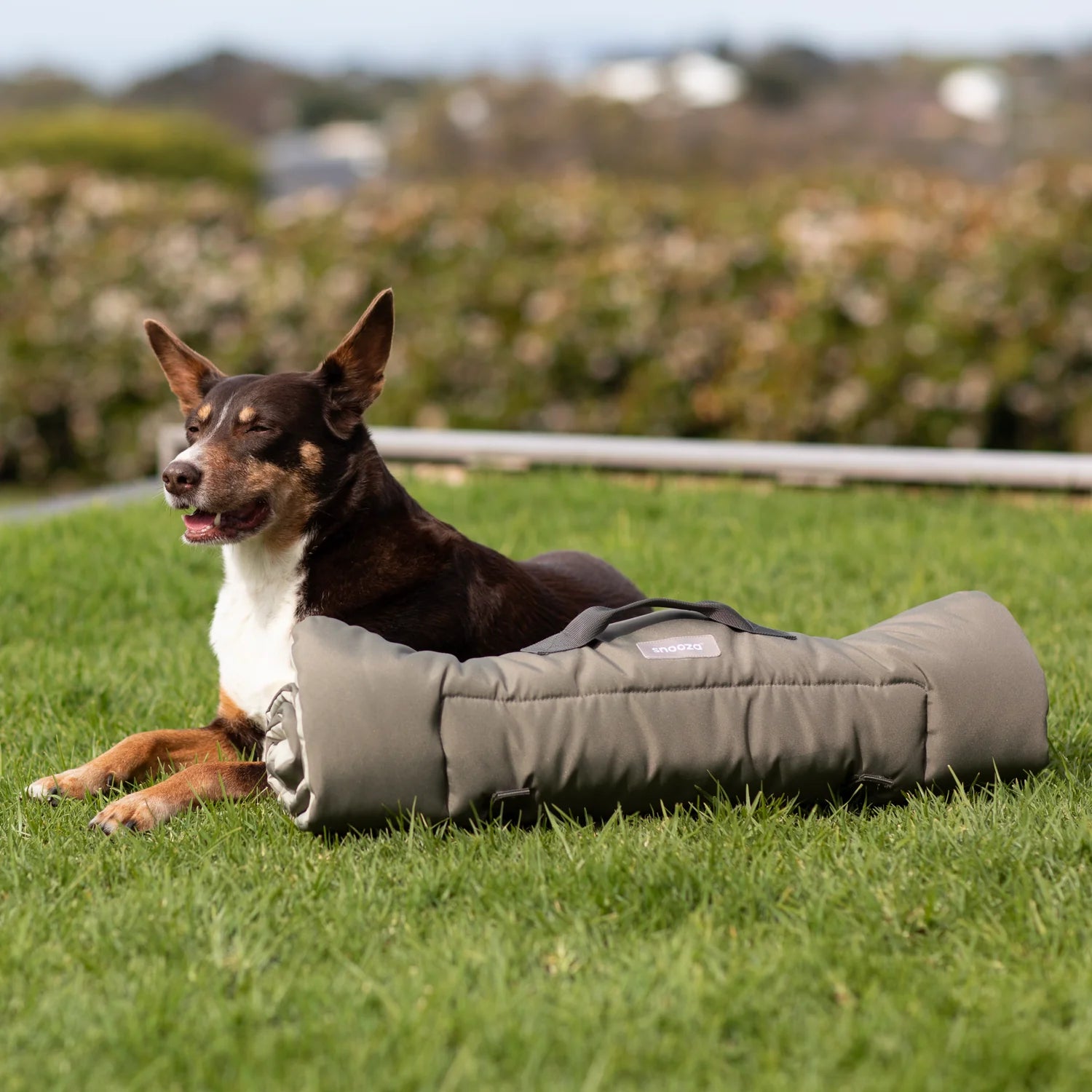 Roll & Go Outdoor Travel Mat-Olive- Snooza