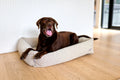 Snoooza The Boucle Nest Dog Bed