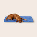 Snooza Stay Dry Mat