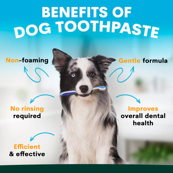 Petzpark Dog Toothpaste
