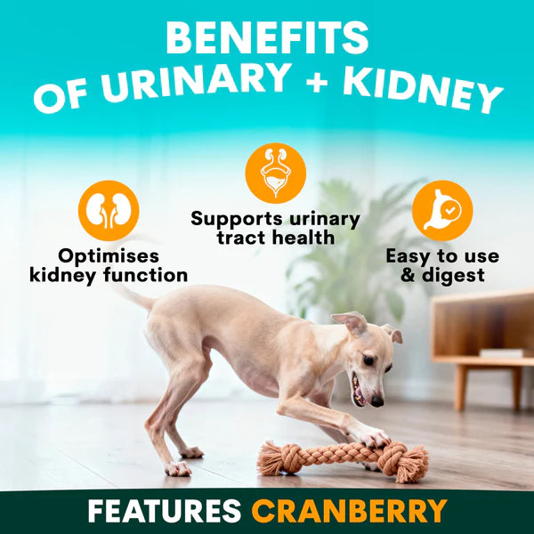 Petzpark Urinary + Kidney for Dogs