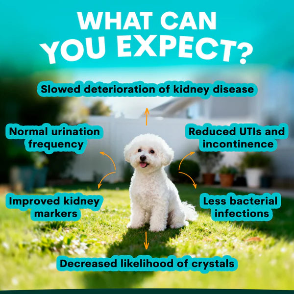 Petzpark Urinary + Kidney for Dogs