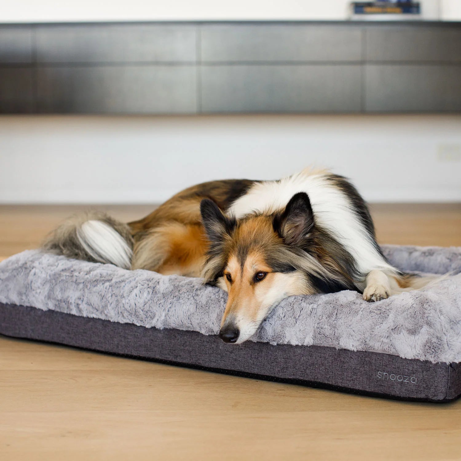 Snooza Ultra Comfort Lounge