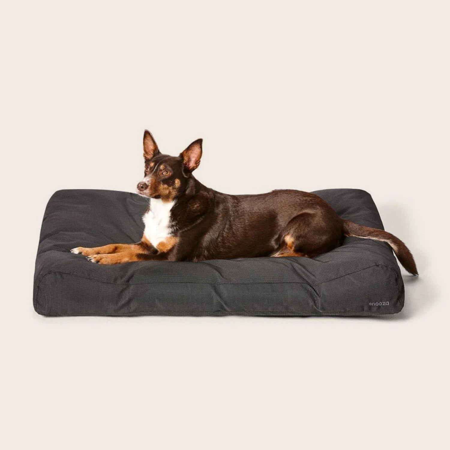 Ultra-Tuff Lounger Black- Snooza