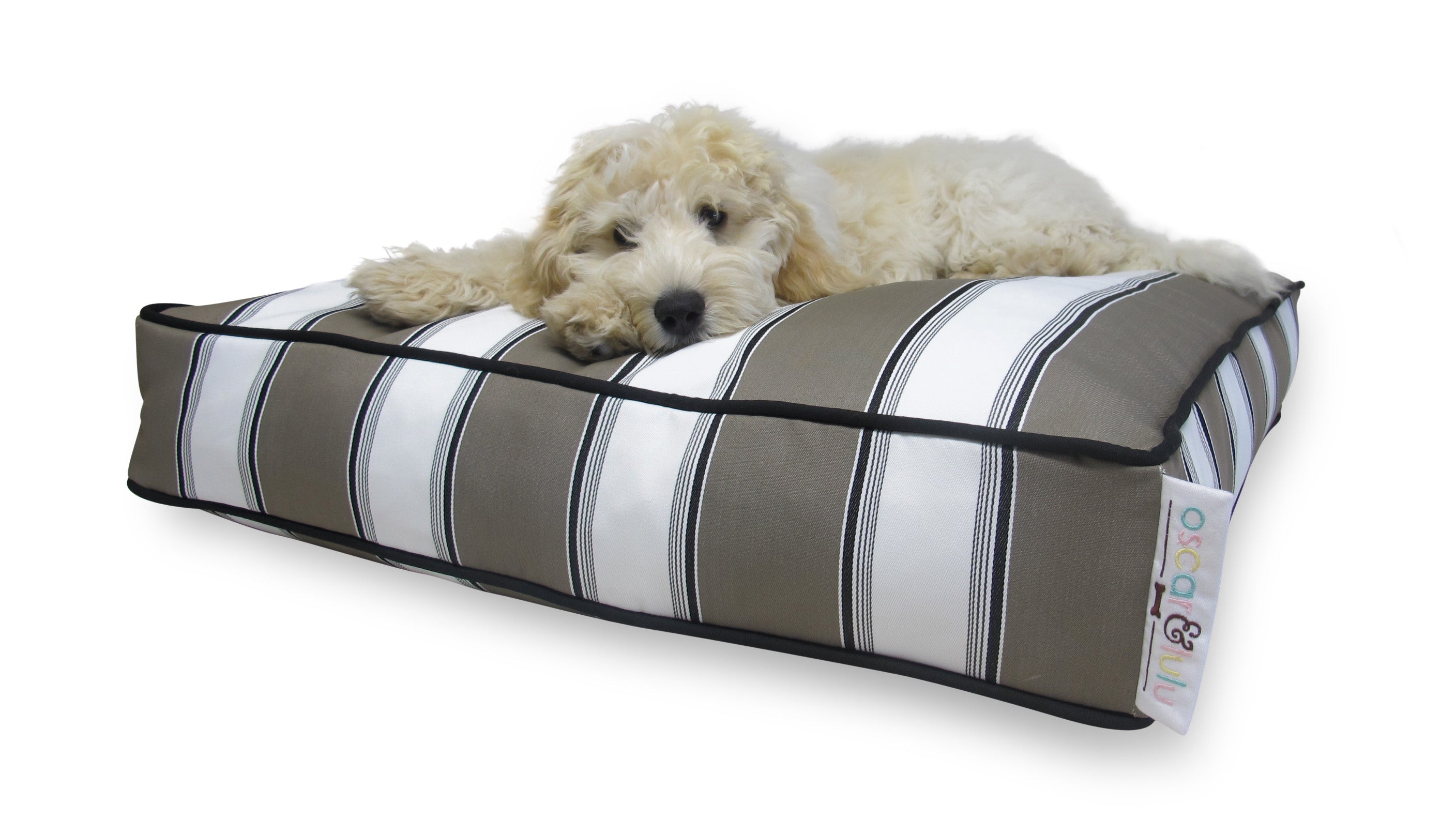 Wallace Dog Bed – Modern Designer Look, Indoor/Outdoor- S,M,L