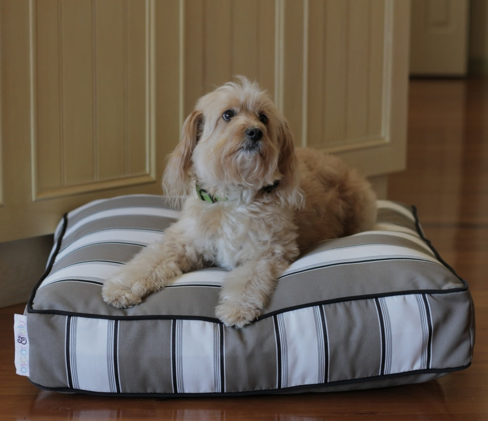Wallace Dog Bed – Modern Designer Look, Indoor/Outdoor- S,M,L