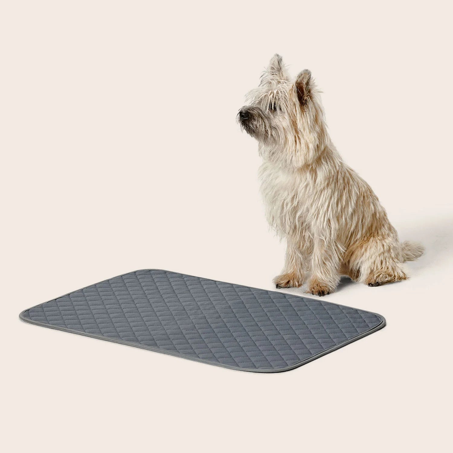 Washable Pee Pad -Snooza- 2 Pack