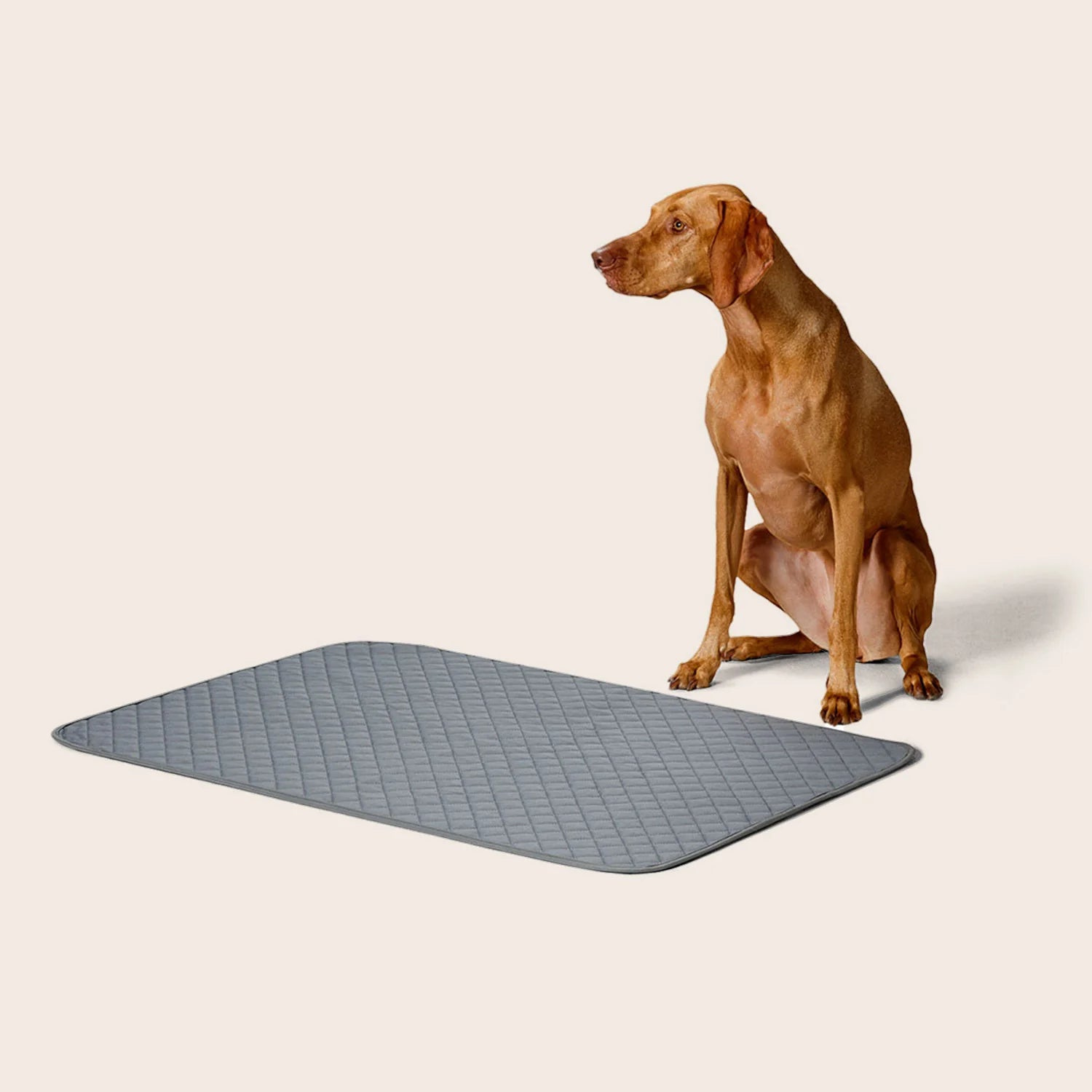 Washable Pee Pad -Snooza- 2 Pack