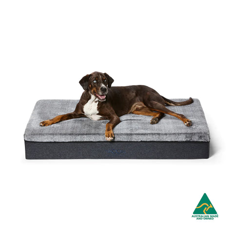 Snooza – Big Dog Bed – Chinchilla XL (BIG)
