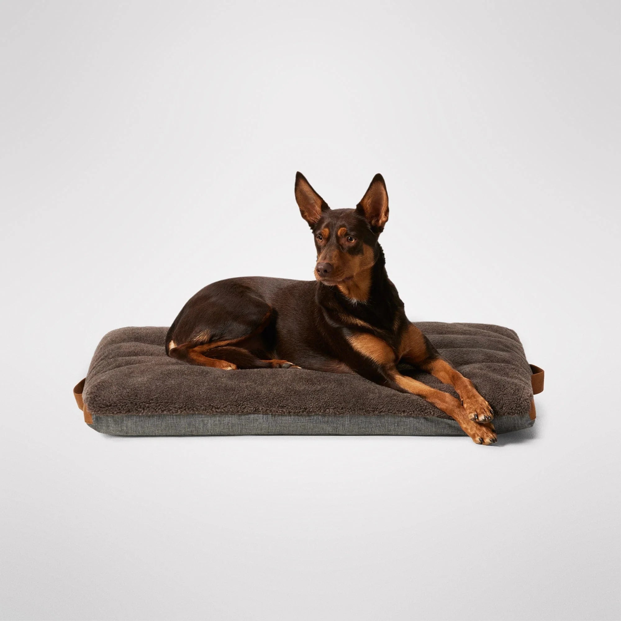 MiniJumbuk – Jumbuk Swag Dog Bed – Mocha