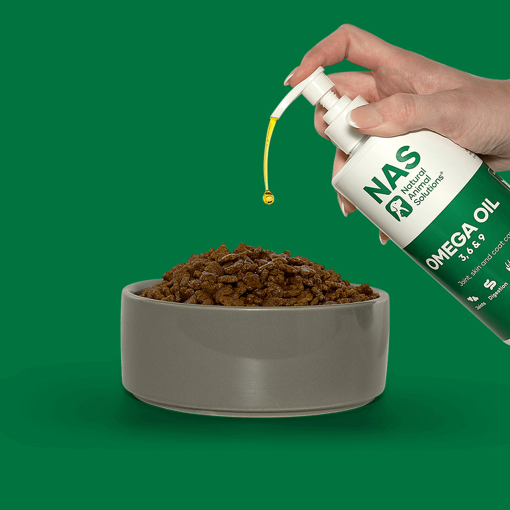 Natural Animal Solutions Omega Oil for Dogs and Cats. Omega 3, 6 & 9 Fish Oil for Dogs with EPA & DHA for Digestion, Healthy Joint, Skin and Coat. Liquid Dog Fish Oil Supplement, 500ml