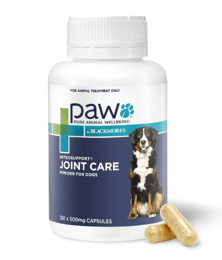 PAW by Blackmores Osteosupport® Joint Care Powder for Dogs | Provides Relief of Arthritic Symptoms| 80 |150 Capsules