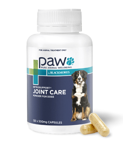 PAW by Blackmores Osteosupport® Joint Care Powder for Dogs | Provides Relief of Arthritic Symptoms| 150 Capsules