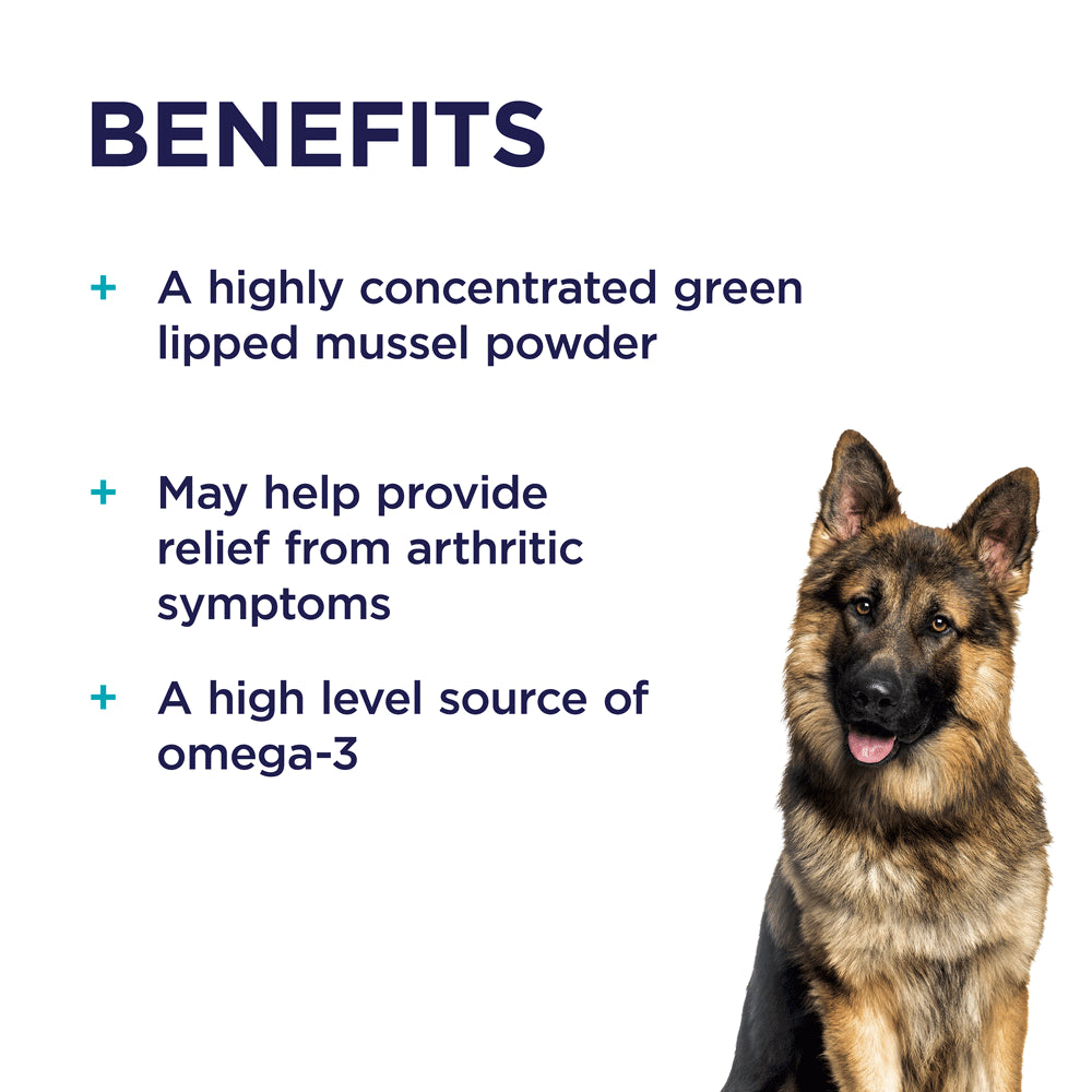 PAW by Blackmores Osteosupport® Joint Care Powder for Dogs | Provides Relief of Arthritic Symptoms| 80 |150 Capsules