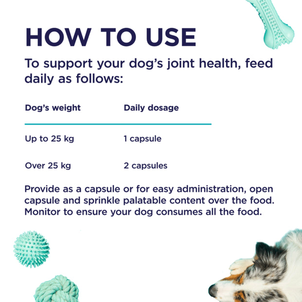 PAW by Blackmores Osteosupport® Joint Care Powder for Dogs | Provides Relief of Arthritic Symptoms| 80 |150 Capsules