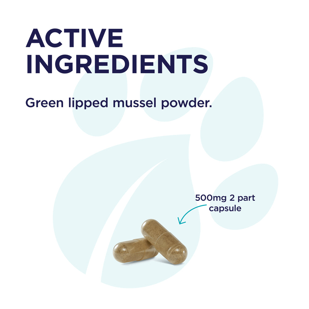 PAW by Blackmores Osteosupport® Joint Care Powder for Dogs | Provides Relief of Arthritic Symptoms| 80 |150 Capsules