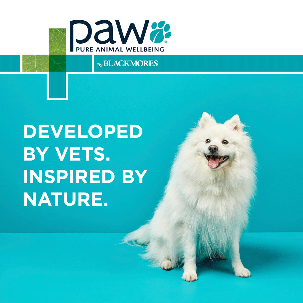 PAW by Blackmores Osteosupport® Joint Care Powder for Dogs | Provides Relief of Arthritic Symptoms| 80 |150 Capsules