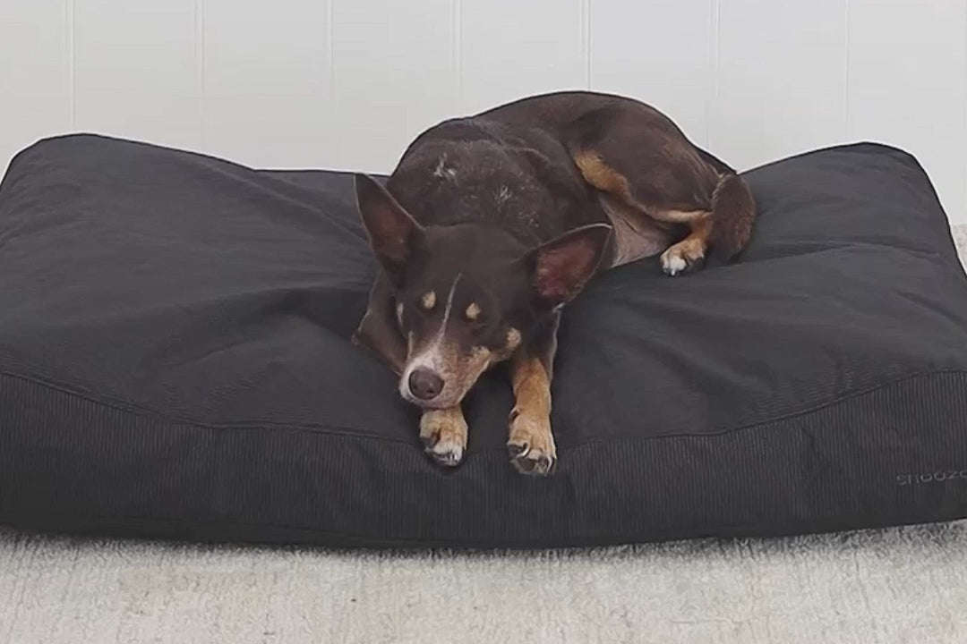 Ultra-Tuff Lounger Black- Snooza