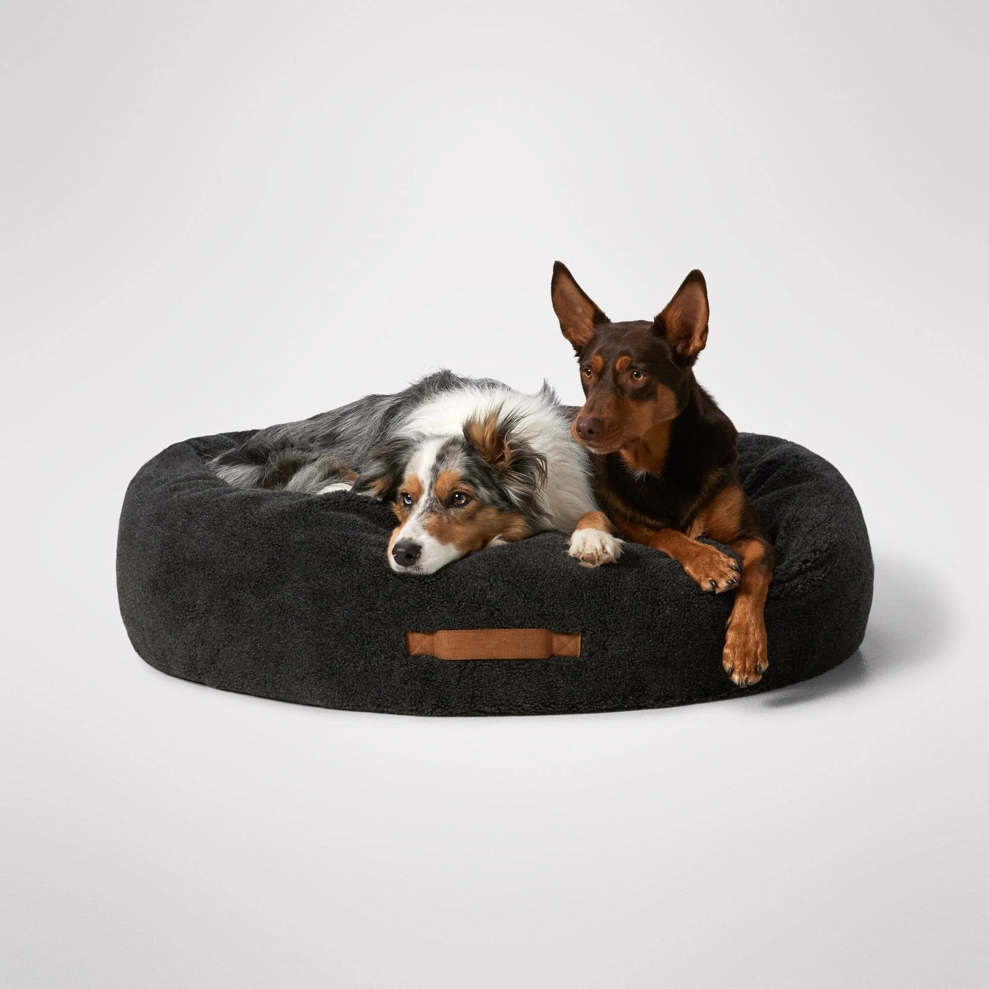MiniJumbuk – Sleep Calm Oasis Dog Bed