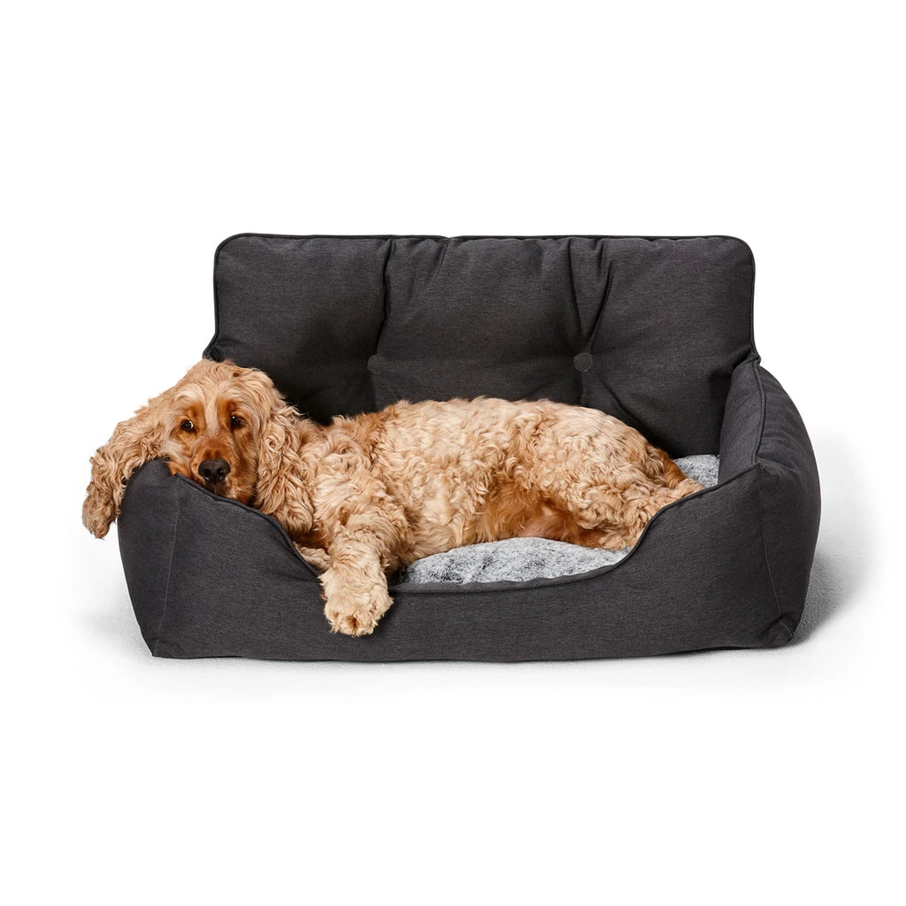 Travel Dog Bed - Snooza